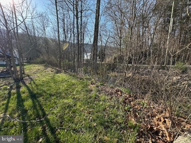 7016 Hyndman Road Buffalo Mills, PA 15534 - Photo 31 of 47 a view of a yard with large trees