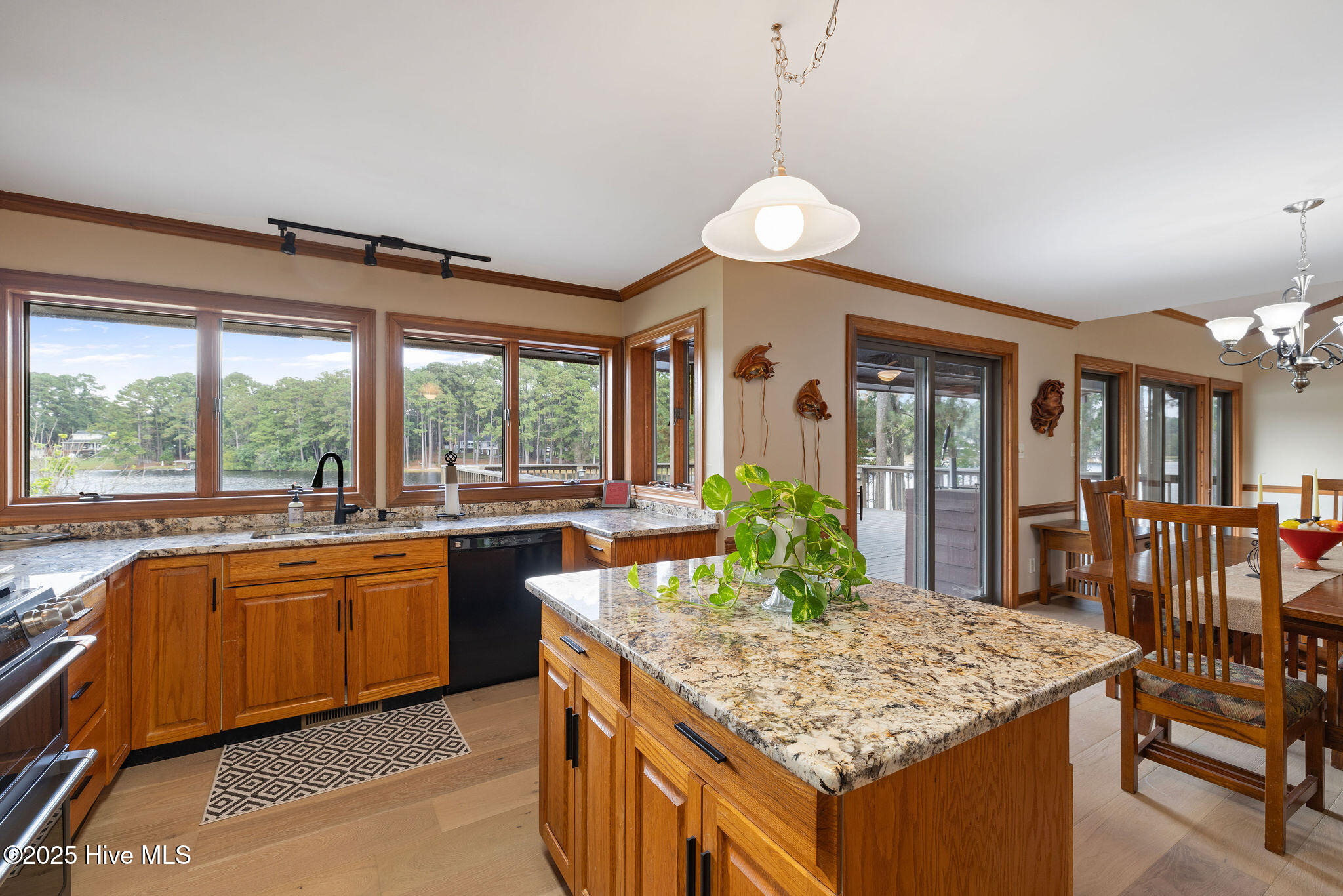 224 Coral Road Dudley, NC 28333 - Photo 20 of 87 5T5A3690