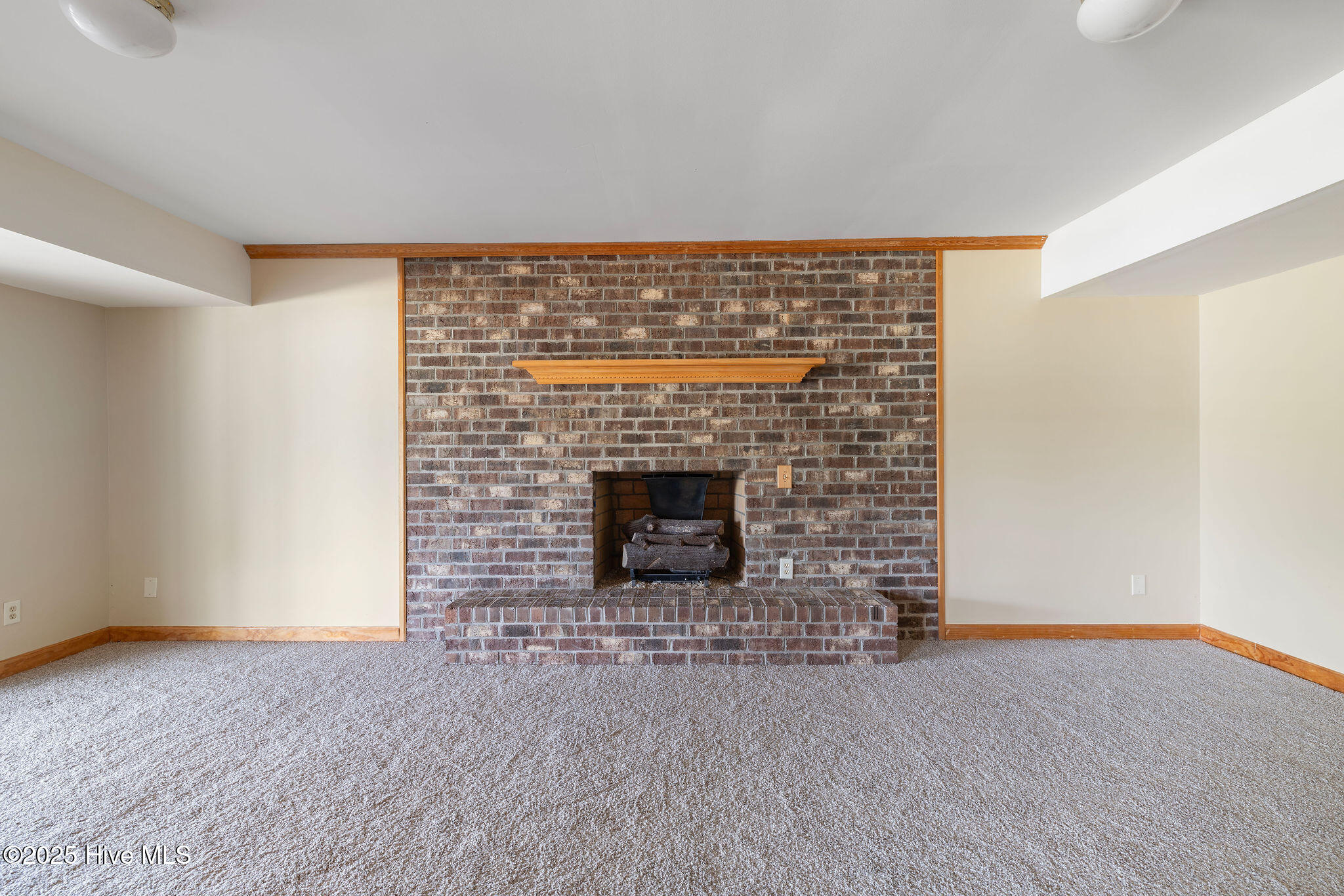 224 Coral Road Dudley, NC 28333 - Photo 53 of 87 5T5A3900