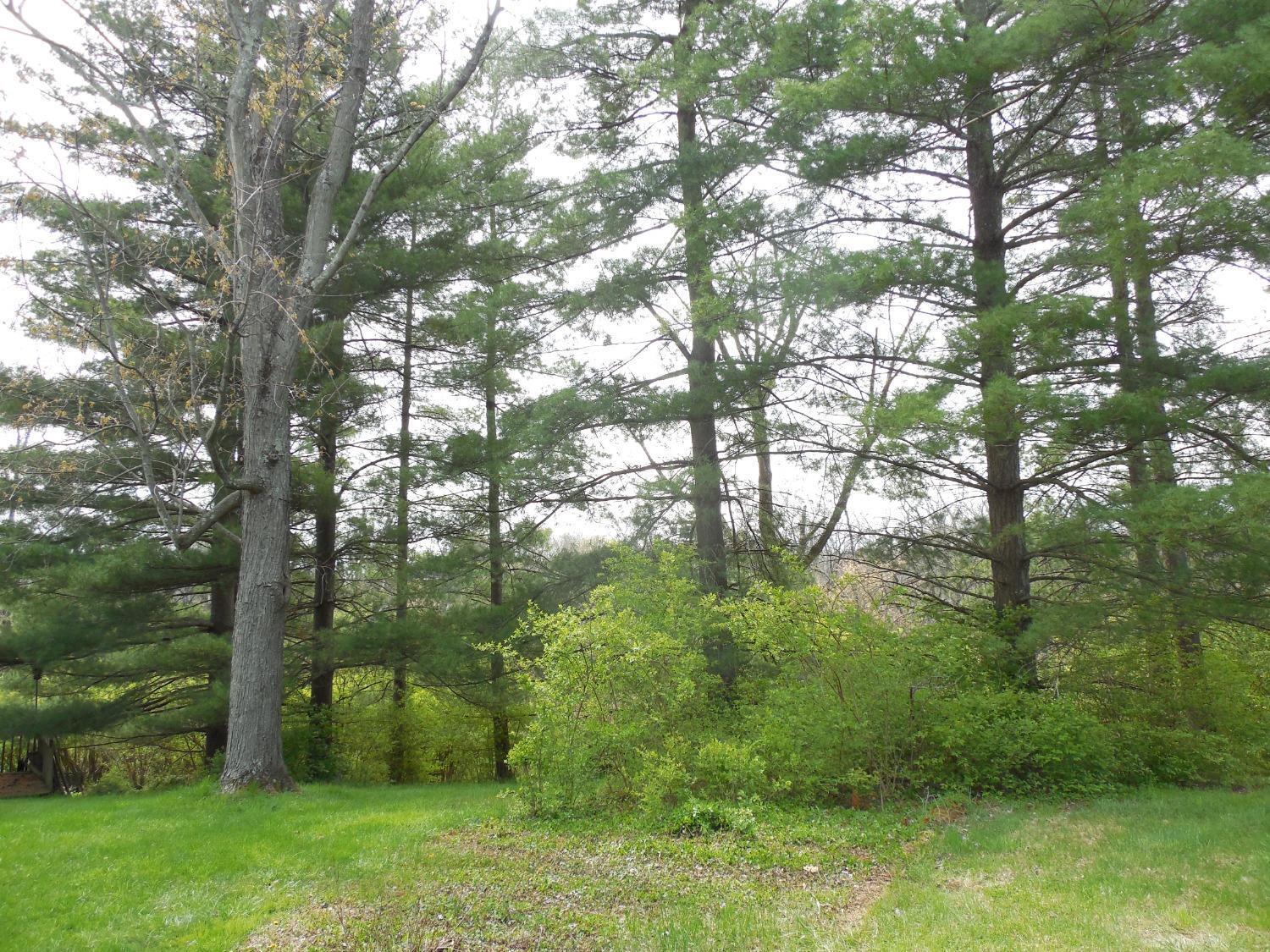 3097 Diehl Road Cincinnati, OH 45211 - Photo 25 of 33 Gallery Image 25
