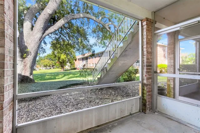 a view of a yard covered with large trees