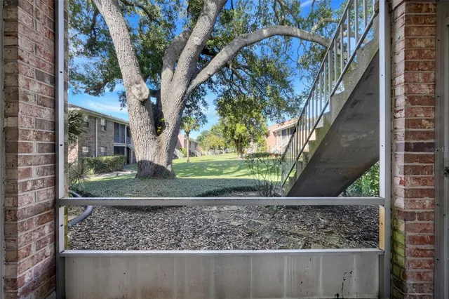 an outdoor view of garden