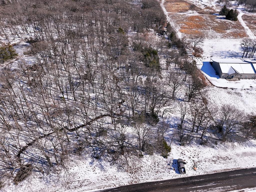 0 Fm-1396 Telephone, TX 75488 - Photo 20 of 32 a view of a tree in a yard