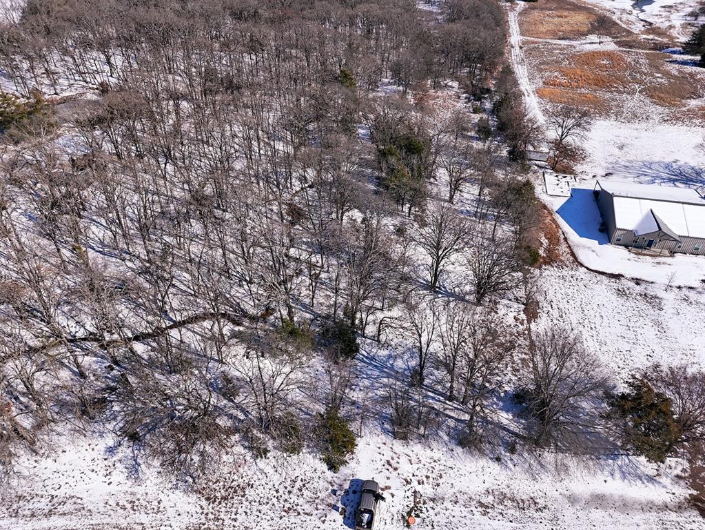 0 Fm-1396 Telephone, TX 75488 - Photo 21 of 32 a picture of trees