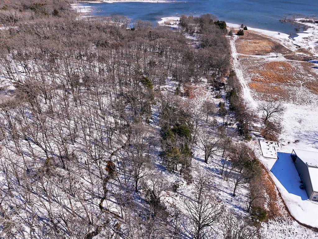 0 Fm-1396 Telephone, TX 75488 - Photo 23 of 32 a view of lot of trees