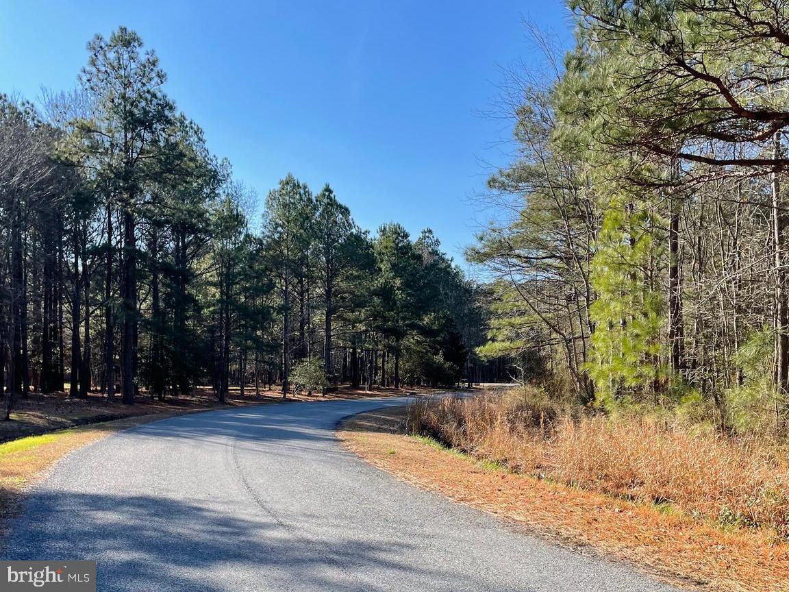 5219 Heron Boulevard Cambridge, MD 21613 - Photo 3 of 8 a view of backyard space