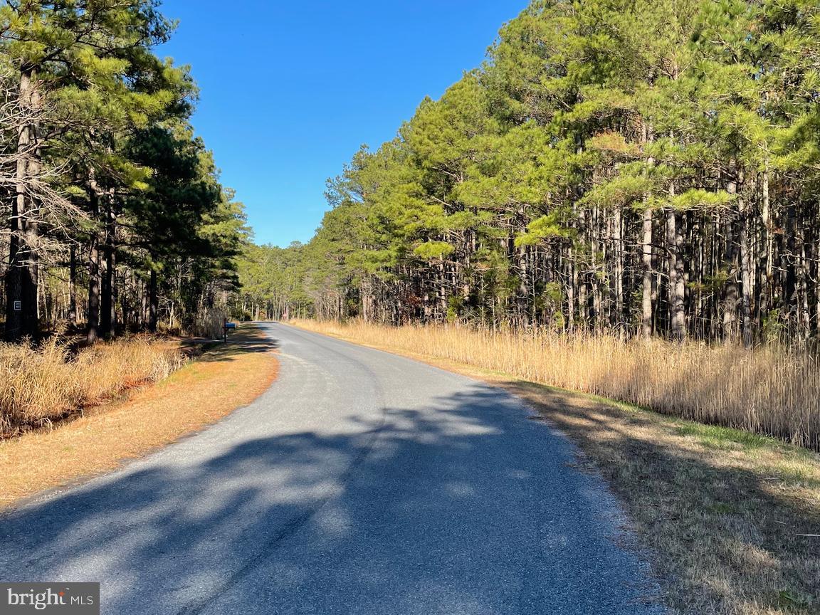 5219 Heron Boulevard Cambridge, MD 21613 - Photo 4 of 8 a view of swimming pool with an outdoor space