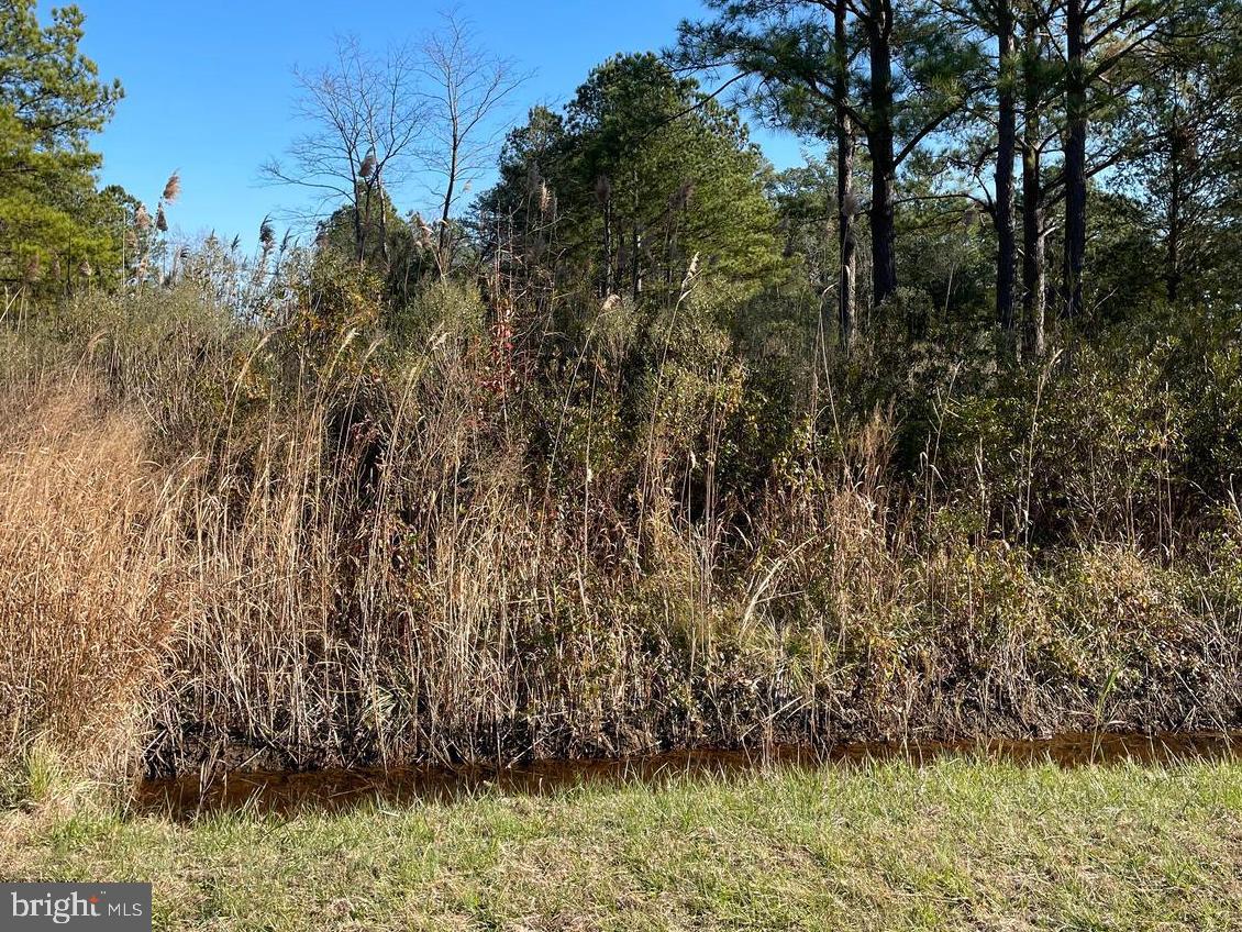 5219 Heron Boulevard Cambridge, MD 21613 - Photo 5 of 8 a view of outdoor space
