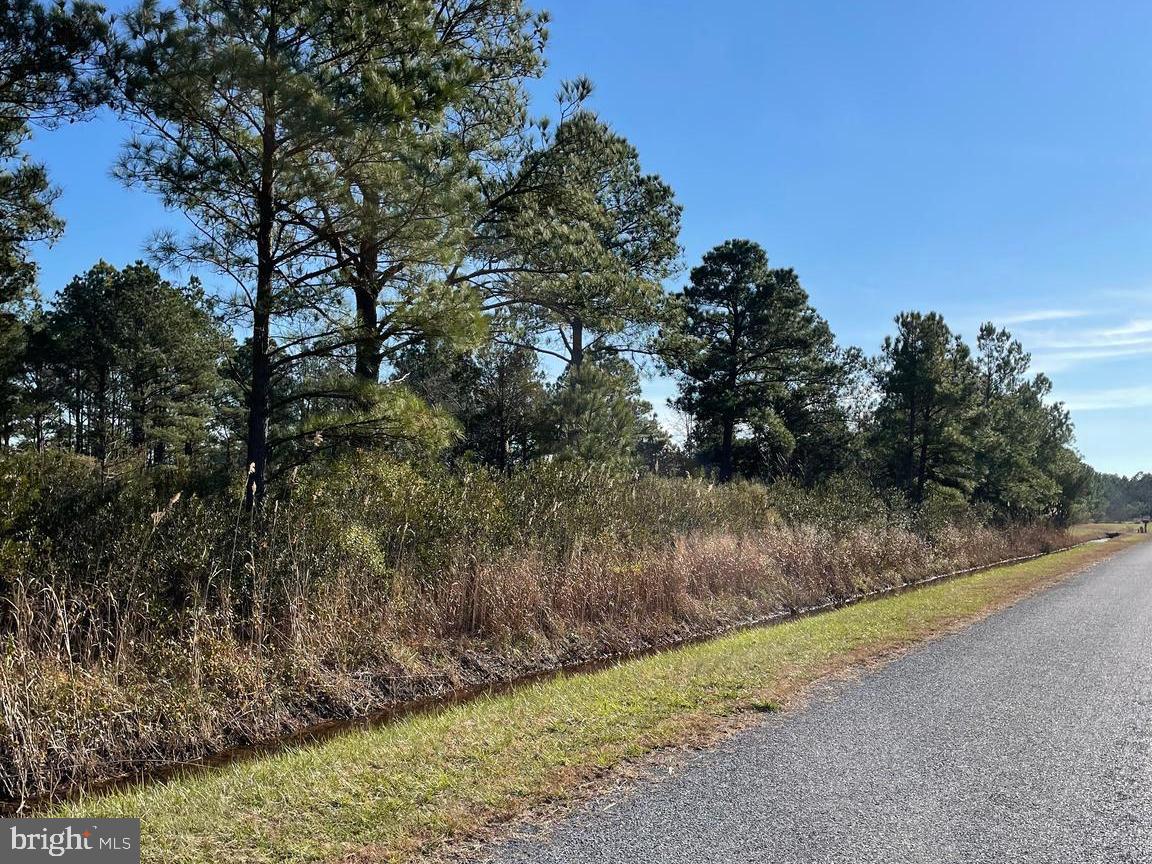 5219 Heron Boulevard Cambridge, MD 21613 - Photo 6 of 8 a view of a yard with wooden fence