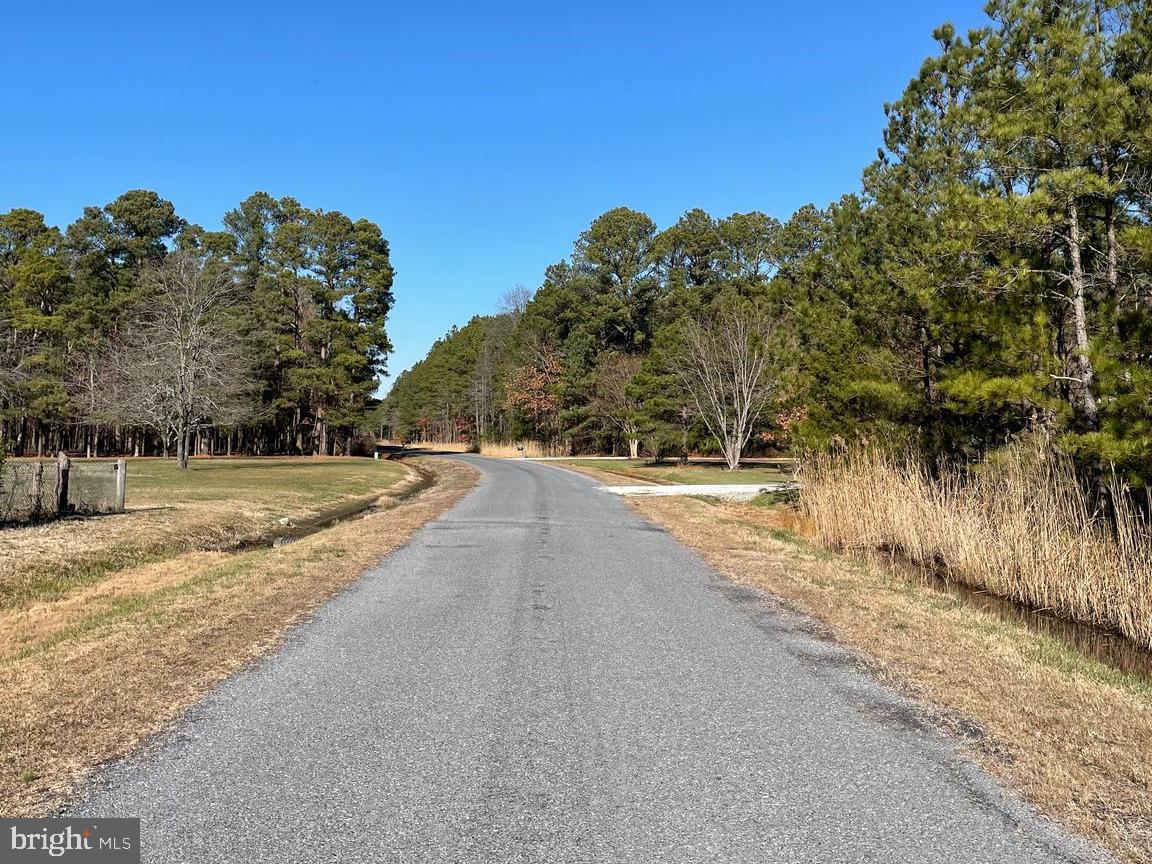 5219 Heron Boulevard Cambridge, MD 21613 - Photo 8 of 8 a view of swimming pool with a yard