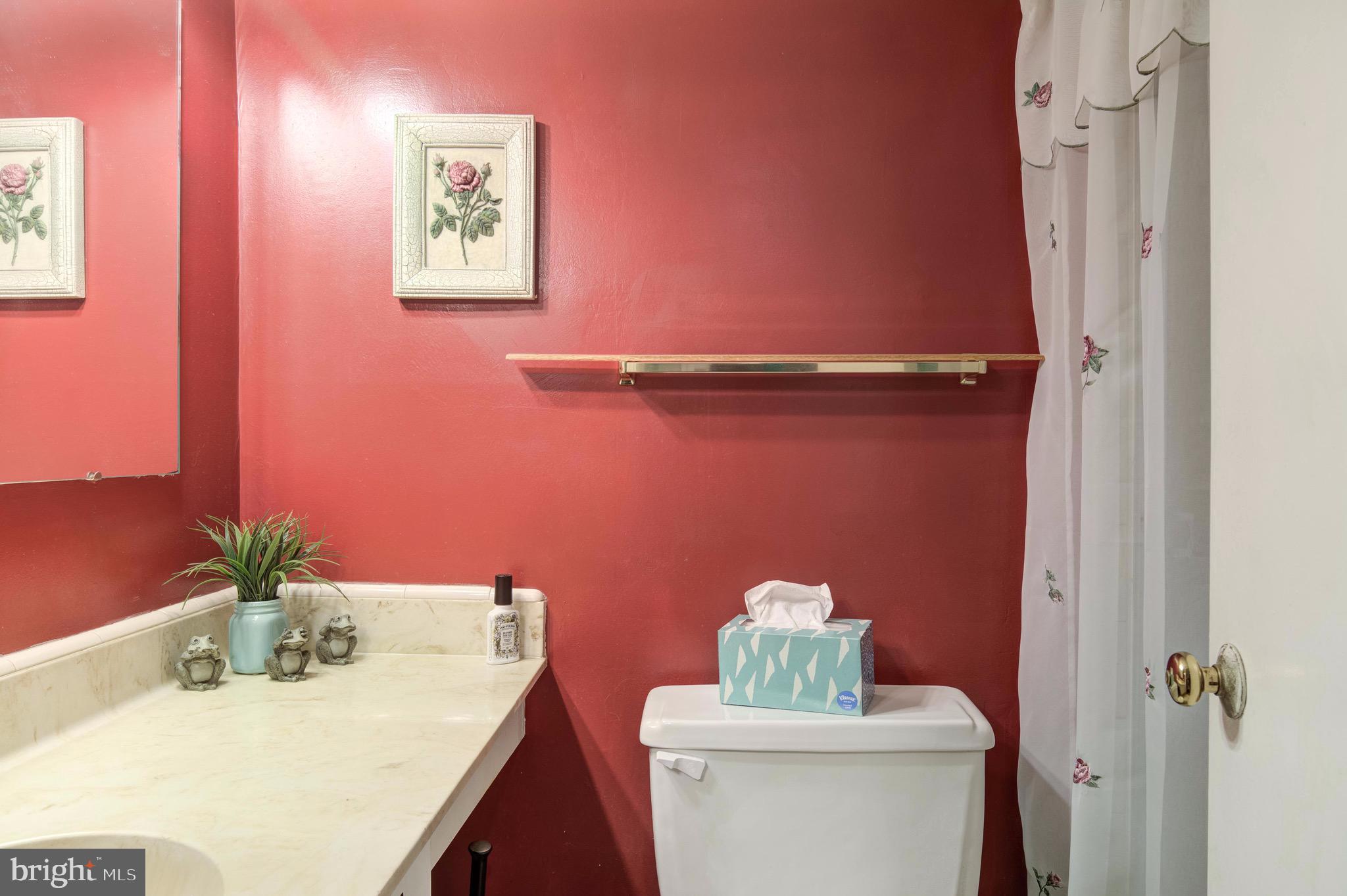 7915 Laural Valley Way Springfield, VA 22153 - Photo 18 of 19 Downstairs full bathroom