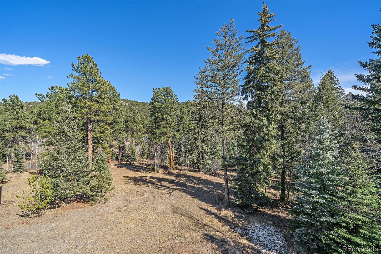 9948 South Turkey Creek Road Conifer, CO 80433 - Photo 31 of 50