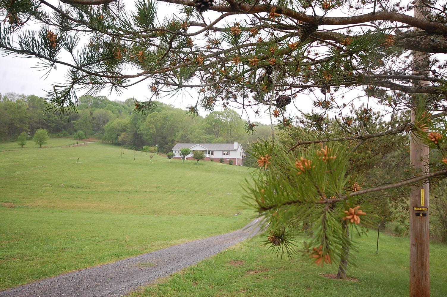 337 Buffalo Road Carthage, TN 37030 - Photo 3 of 30 a green field with lots of tress in it