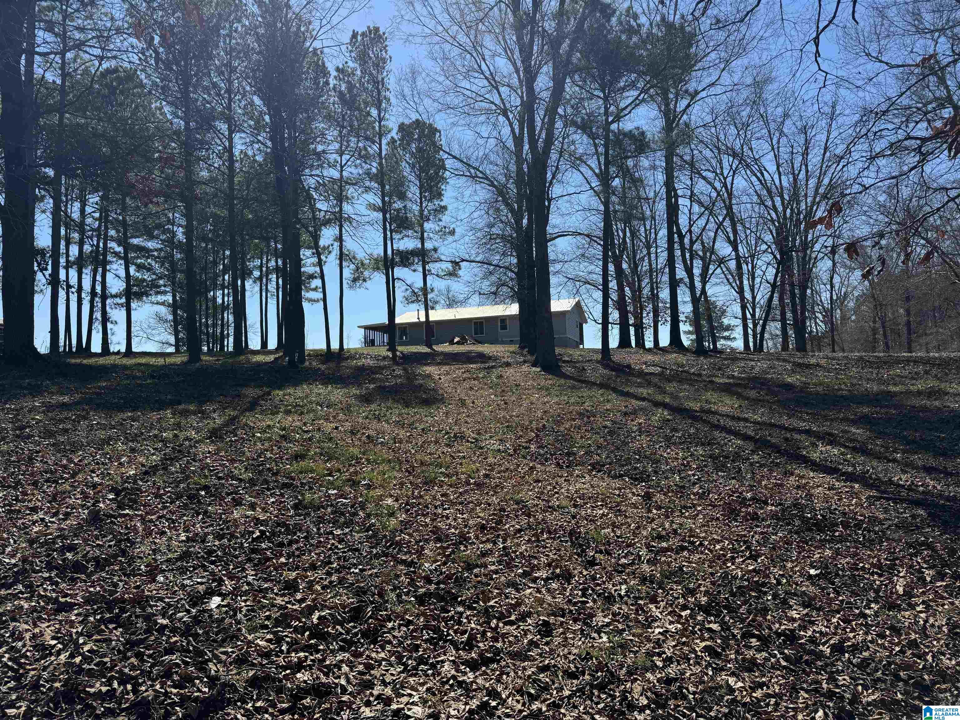 285 Whitson Road Talladega, AL 35160 - Photo 89 of 92