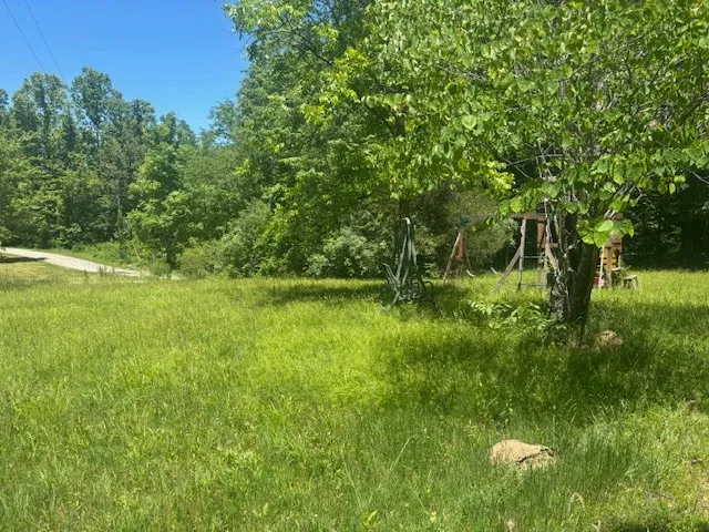 a view of outdoor space and yard