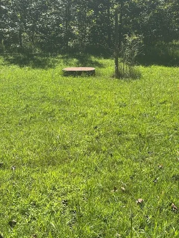 a view of a lake with a bench and trees