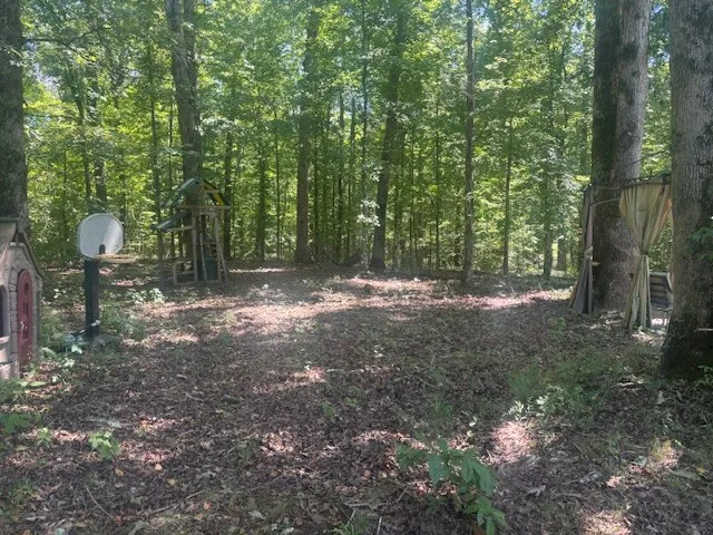 a view of outdoor space with trees