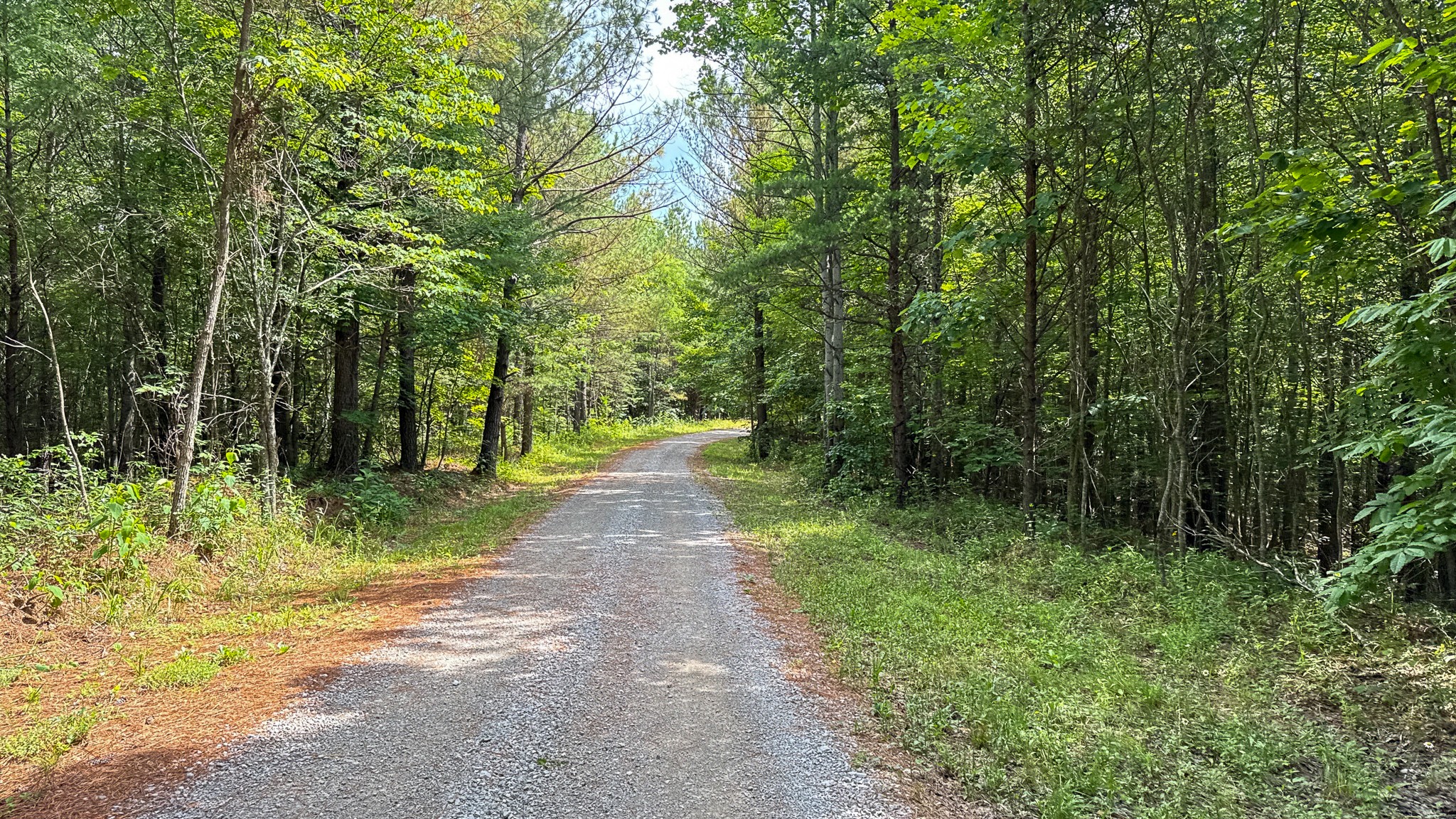 0 Flat Rock Road Jamestown, TN 38556 - Photo 11 of 20