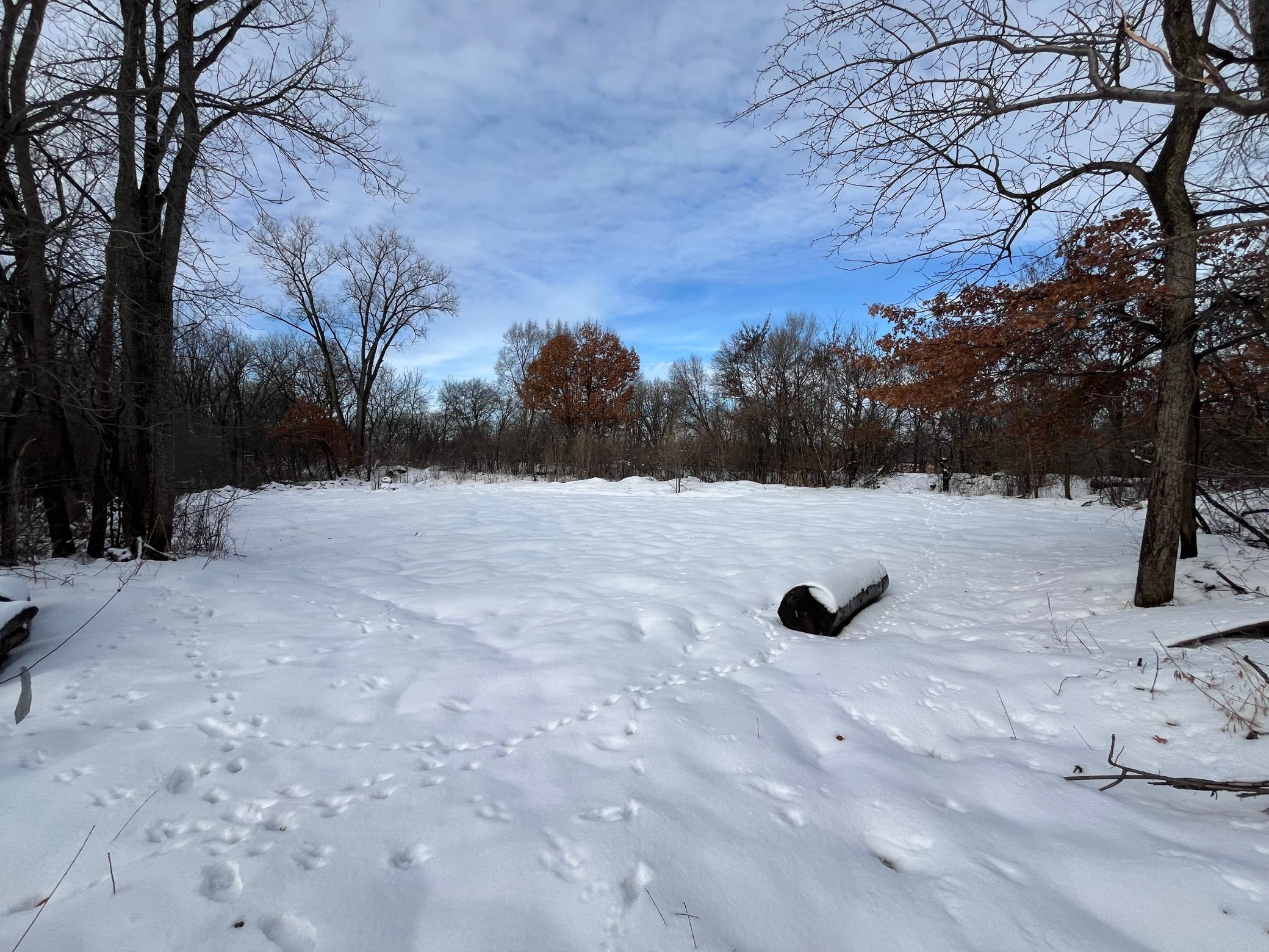 Tbd Kennard Street St. Paul, MN 55106 - Photo 18 of 21