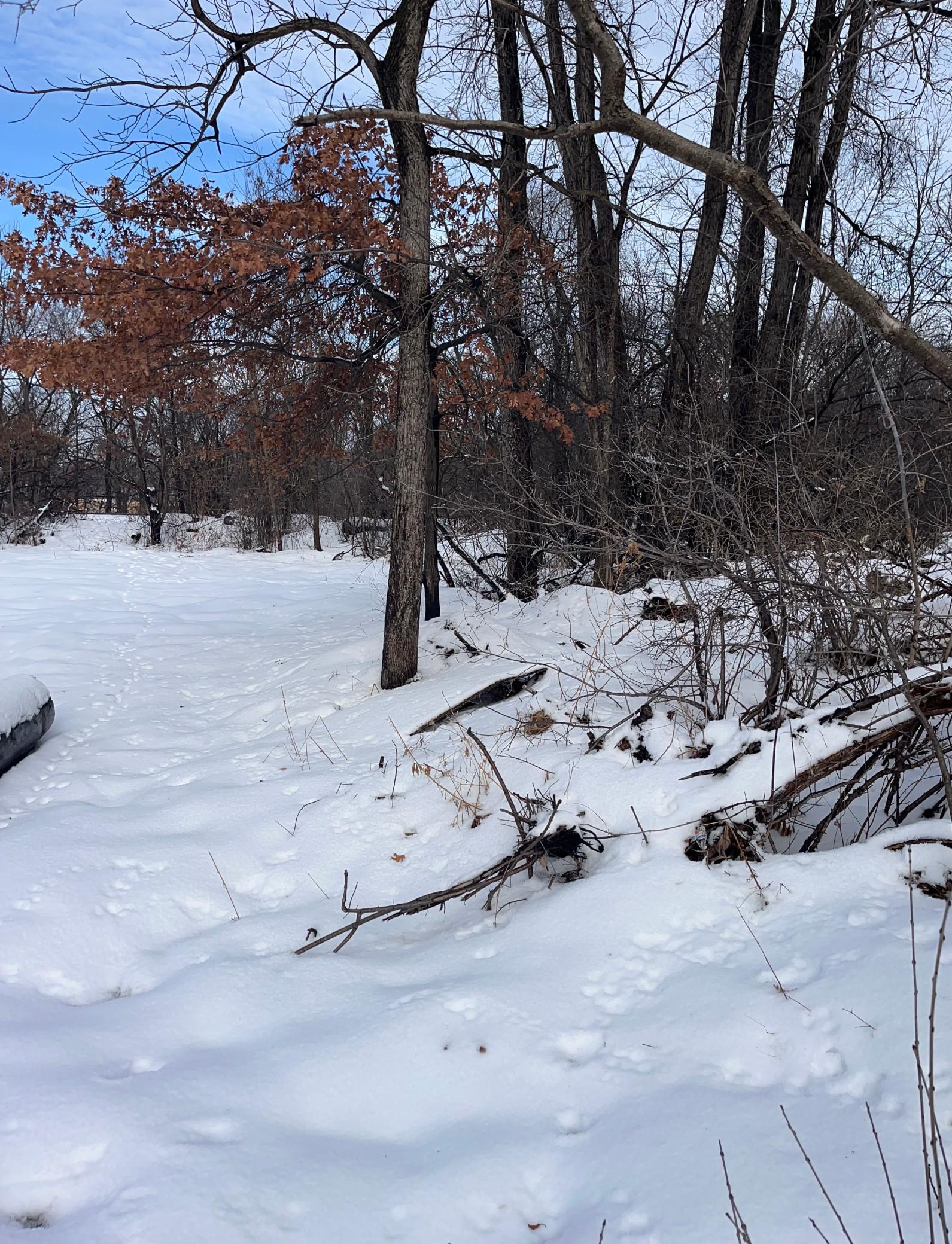 Tbd Kennard Street St. Paul, MN 55106 - Photo 19 of 21