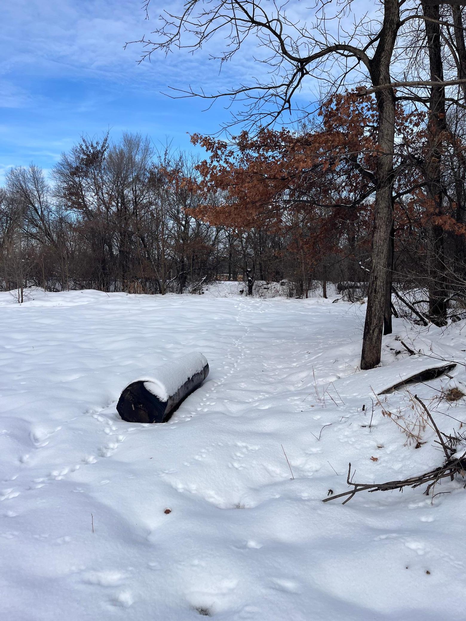 Tbd Kennard Street St. Paul, MN 55106 - Photo 21 of 21