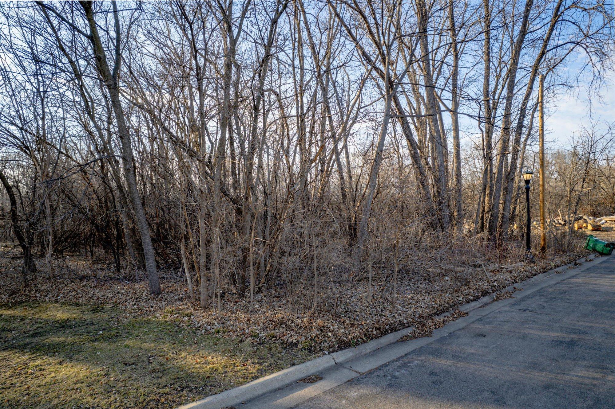 Tbd Kennard Street St. Paul, MN 55106 - Photo 3 of 21