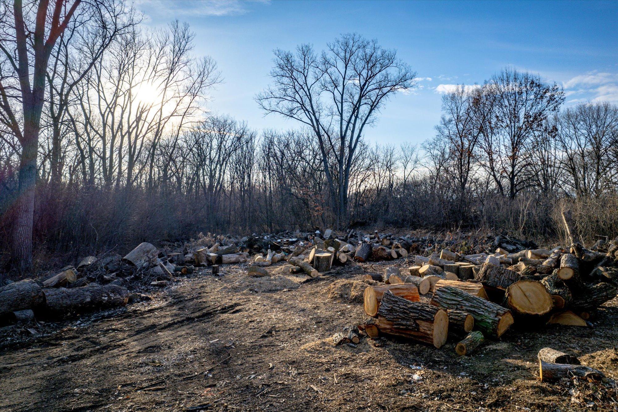 Tbd Kennard Street St. Paul, MN 55106 - Photo 5 of 21