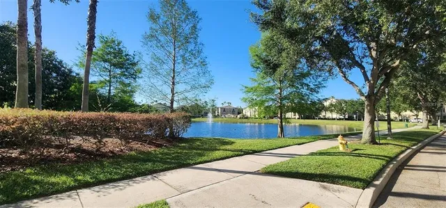 a view of a lake with a large trees