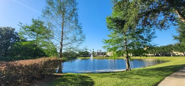 a view of lake with tree in front of it