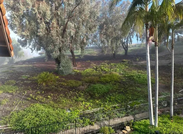a view of a chairs and table in the garden