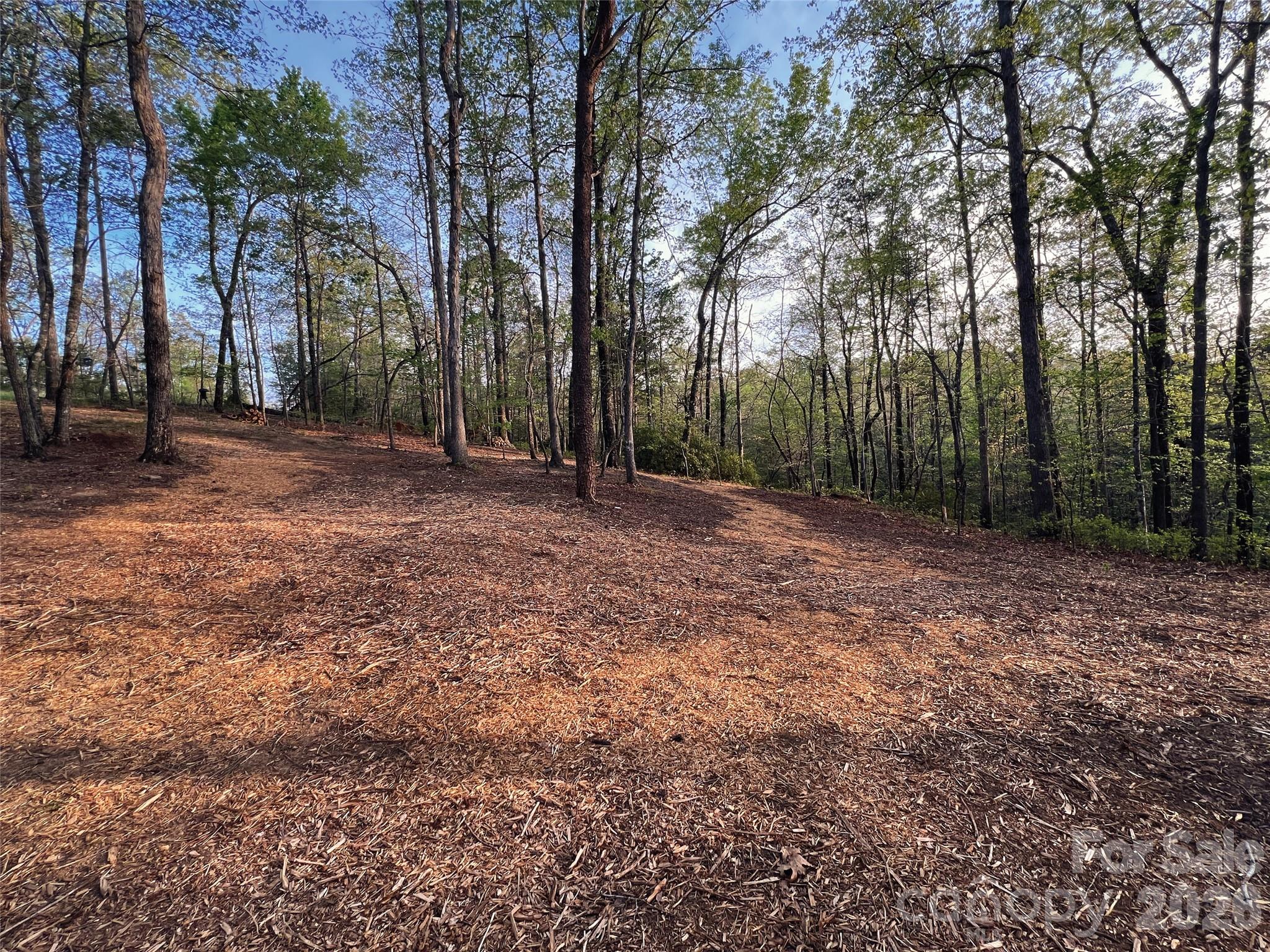 0 Shady Bark Lane, Unit 43 & #44 Rutherfordton, NC 28139 - Photo 23 of 38