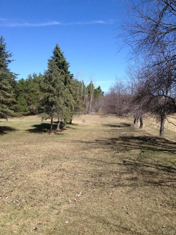 5333 Snover Road Clifford, MI 48727 - Photo 9 of 44