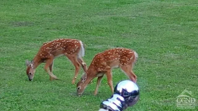 a view of a balcony with furniture