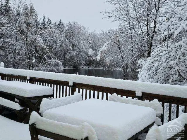 a swimming pool with trees in the background