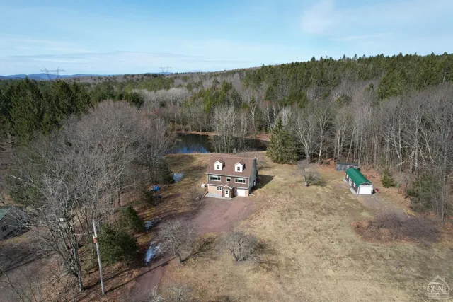 $699,000 | 273 East Conesville Road, Conesville, NY 12076