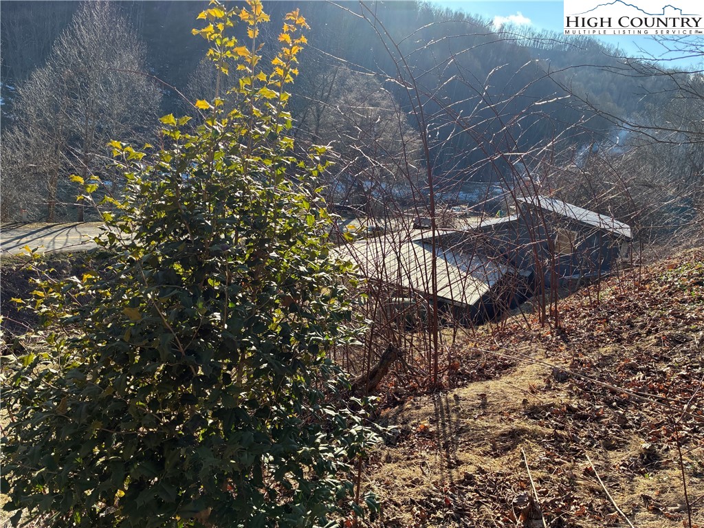 838 Rock Creek Road Creston, NC 28615 - Photo 2 of 16