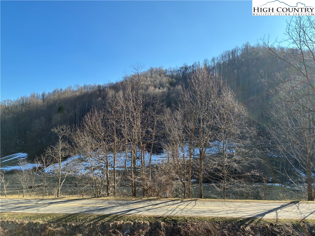 838 Rock Creek Road Creston, NC 28615 - Photo 4 of 21