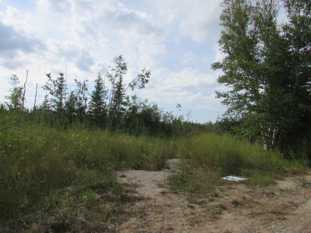 Bloom Road Alpena, MI 49707 - Photo 3 of 5 Gallery Image 3