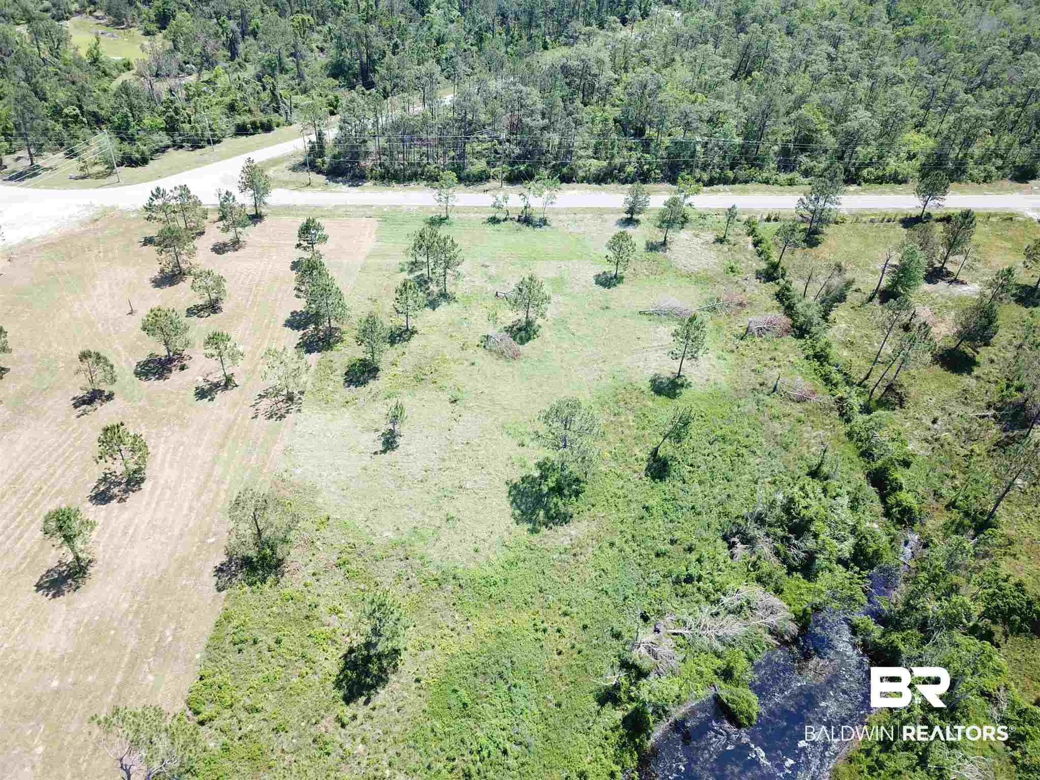 Randolph Avenue Lillian, AL 36549 - Photo 2 of 11 Natural Pond On Back
