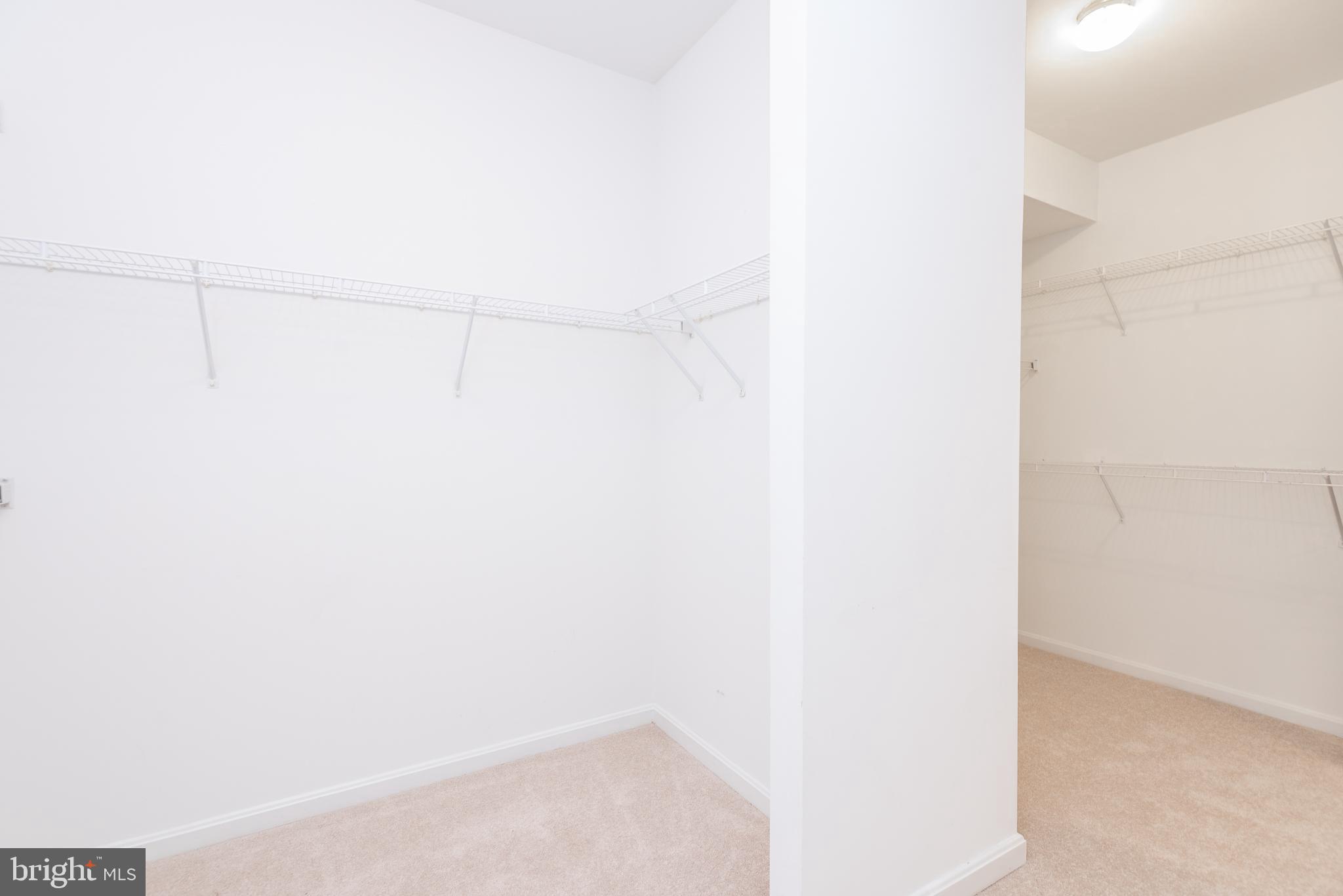 6033 Sumner Road Alexandria, VA 22310 - Photo 25 of 52 Primary bedroom walk-in closets with carpeting