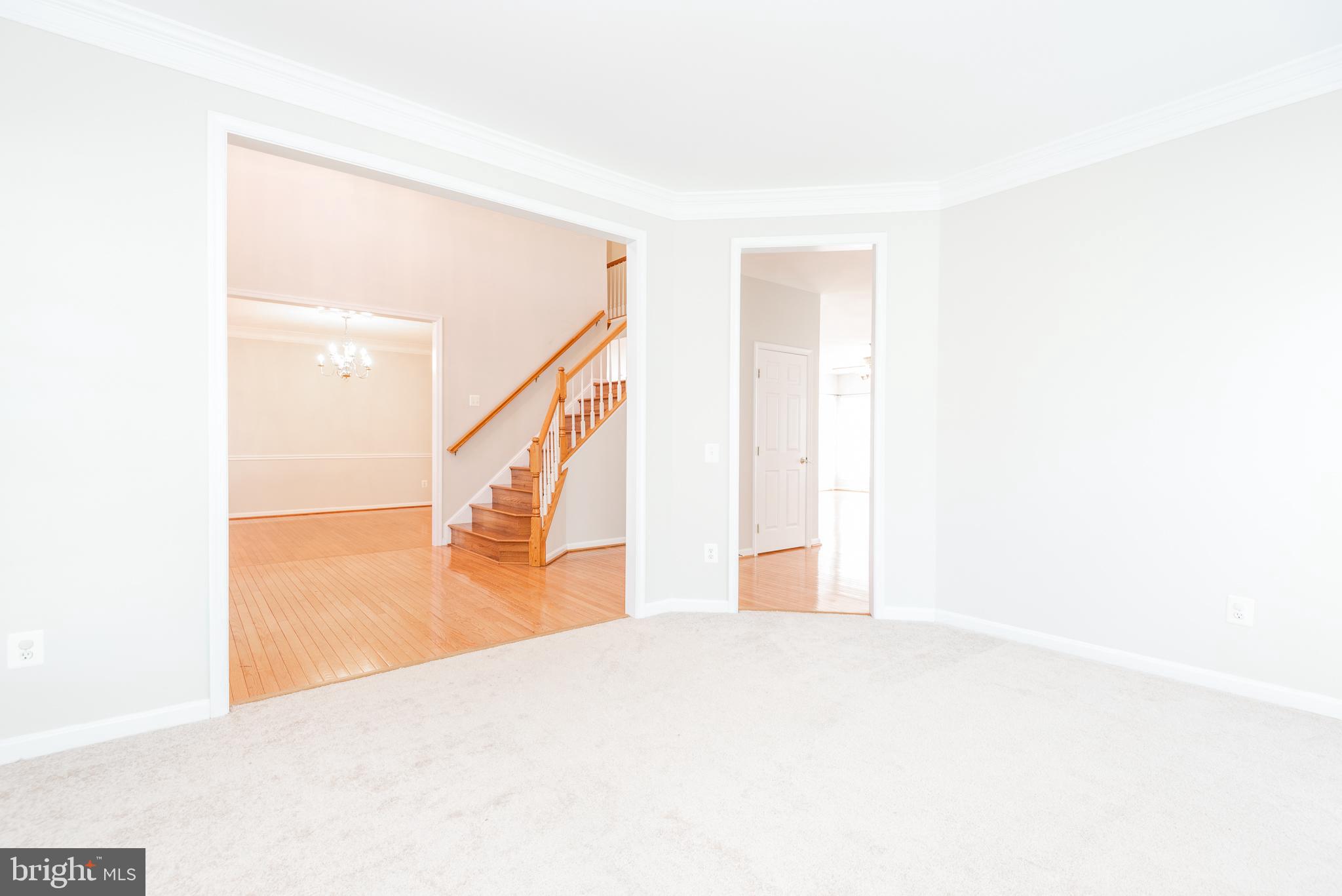 6033 Sumner Road Alexandria, VA 22310 - Photo 5 of 52 Carpeted sitting room