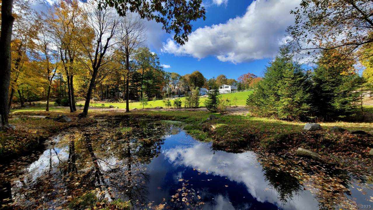 58 Botsford Hill Road Newtown, CT 06470 - Photo 31 of 39 a view of a garden with a lake