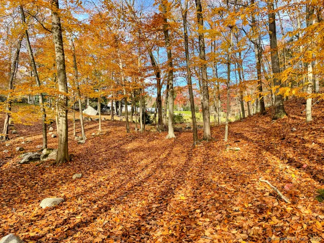a view of outdoor space with trees