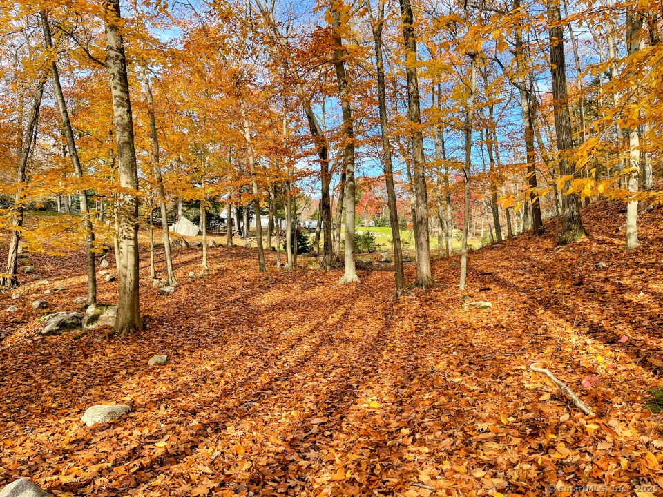 58 Botsford Hill Road Newtown, CT 06470 - Photo 33 of 39 a view of yard