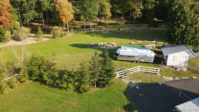a view of a park with large trees