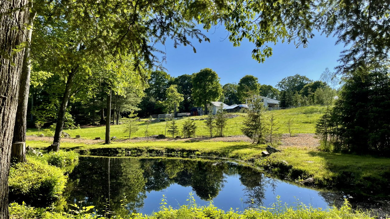 58 Botsford Hill Road Newtown, CT 06470 - Photo 7 of 39 a view of a yard with an trees