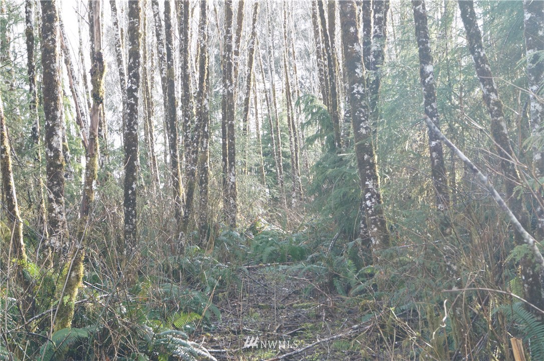 0 State Route 101 Raymond, WA 98577 - Photo 1 of 9 Gallery Image 1