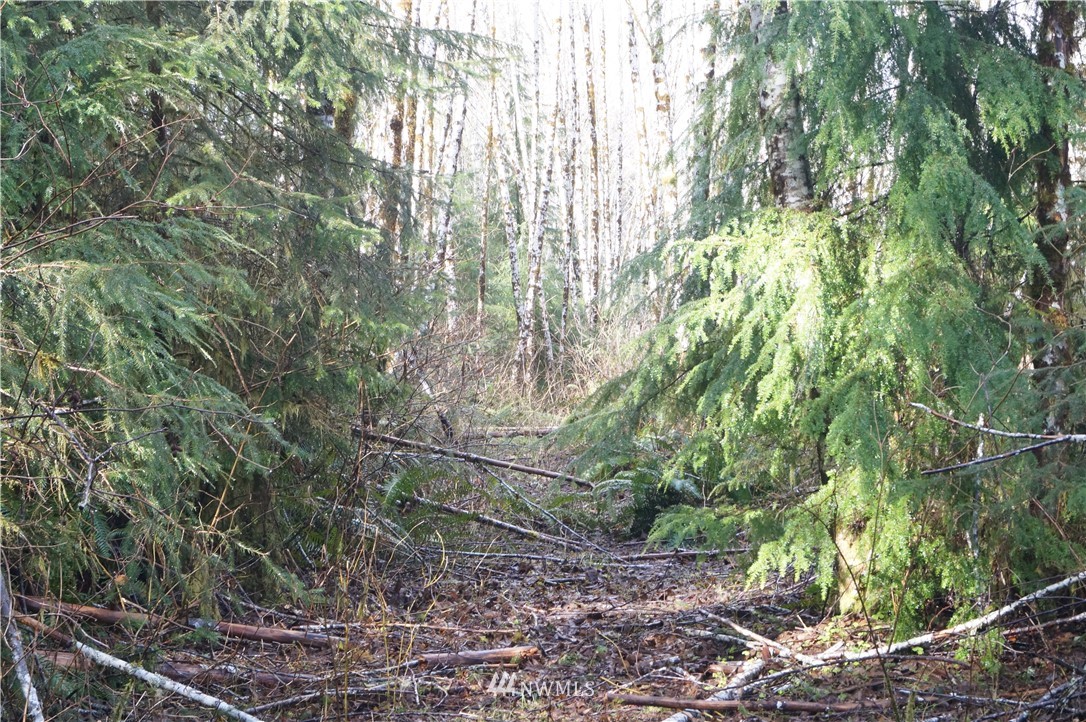 0 State Route 101 Raymond, WA 98577 - Photo 3 of 9 Gallery Image 3
