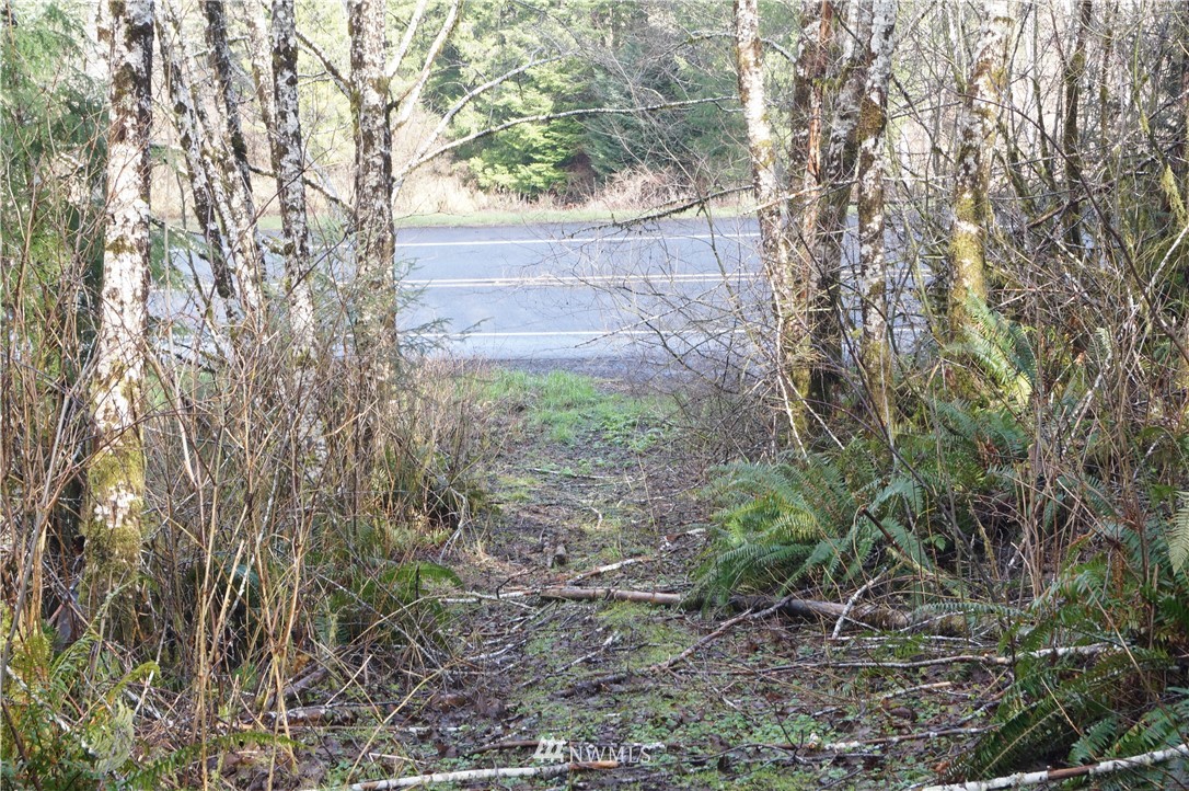 0 State Route 101 Raymond, WA 98577 - Photo 4 of 9 Gallery Image 4