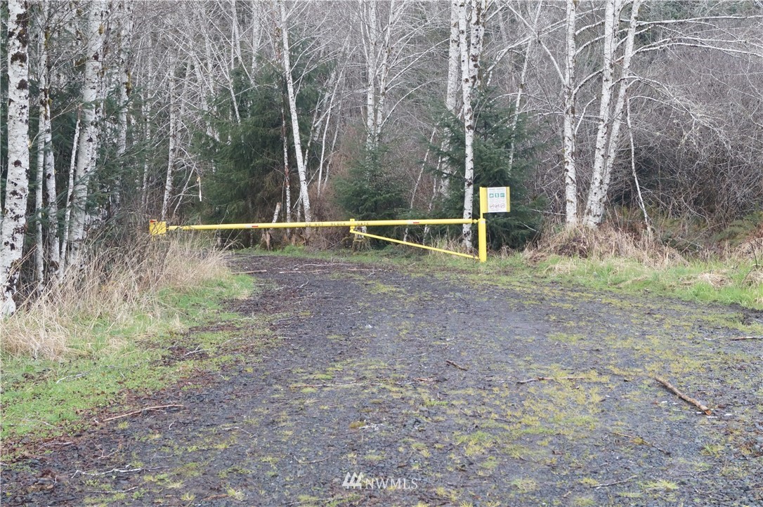 0 State Route 101 Raymond, WA 98577 - Photo 5 of 9 Gallery Image 5